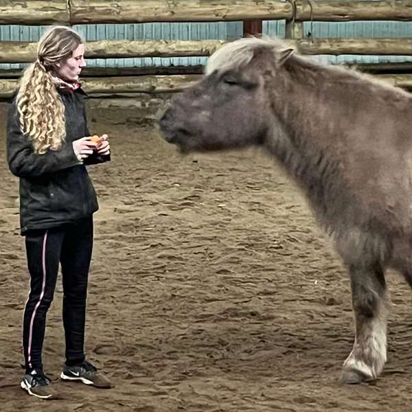 joki og jeg i ridehuset